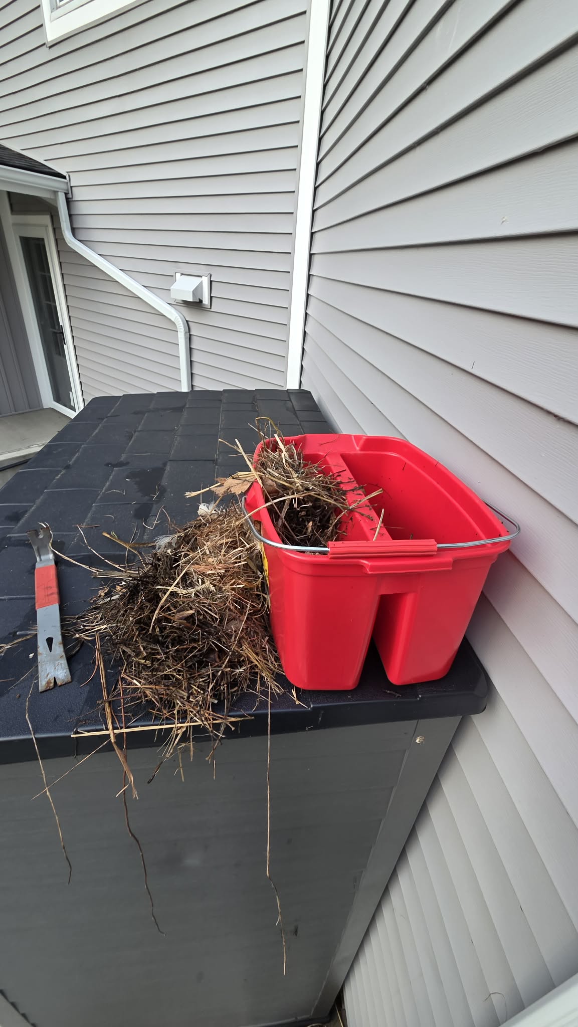 Bird nest removal from residential gutter in Muskegon MI